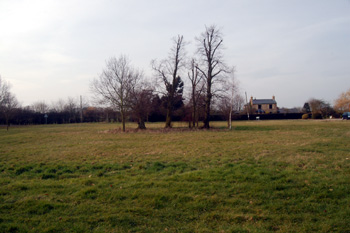 Thorncote Green March 2010